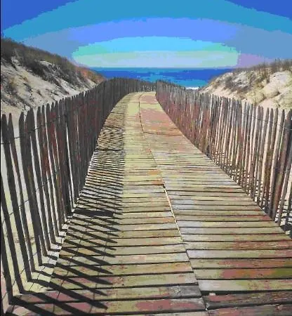 T2 Duplex Maubuisson Vue Pins Situe Au 129 Avenue Maubuisson *