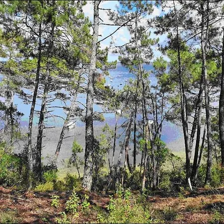 T2 Duplex Maubuisson Vue Pins Situe Au 129 Avenue Maubuisson Carcans