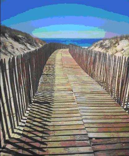 T2 Duplex Maubuisson Vue Pins Situe Au 129 Avenue Maubuisson *