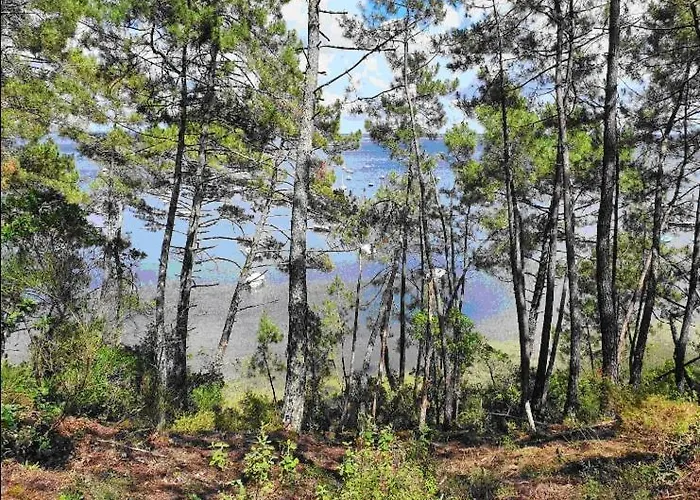 T2 Duplex Maubuisson Vue Pins Situe Au 129 Avenue Maubuisson Carcans